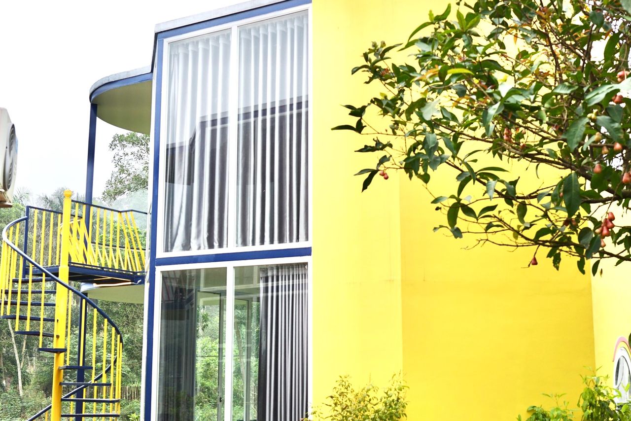 Mây Vàng 1 Đồng Đò Sóc Sơn